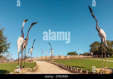 Part of the garden Bacalhoa Buddha eden  in Bombarral Portugal Stock Photo