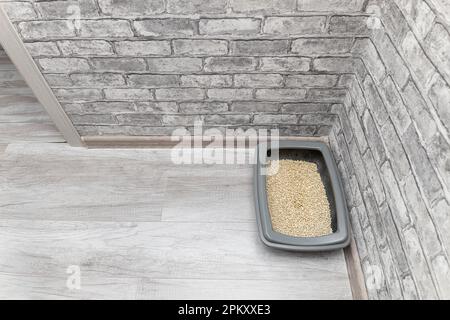 the cat tray is on the floor in the room. the cat litter box is in the corner of the room. dry cat litter box. High quality photo Stock Photo