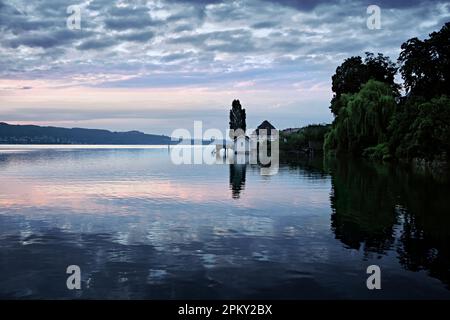 Lake shore in the morning light, Lake Constance, Bodman, Baden-Wuerttemberg, Germany Stock Photo