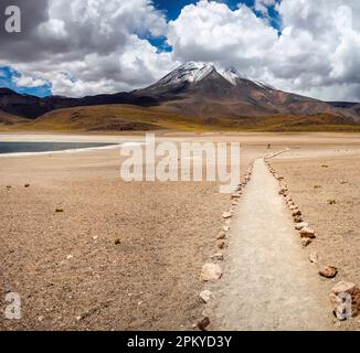 The landscape of Miscanti Lake, Atacama Desert, Chile. Stock Photo