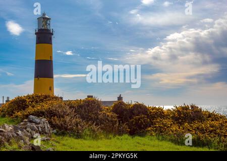 1844, St. John’s Point Lighthouse, the tallest onshore lighthouse on the Island of Ireland Stock Photo
