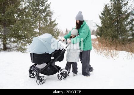 Side view of female and preteen daughter in warm clothes walking on snow with stroller near coniferous trees on winter day in park Stock Photo