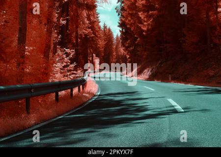 Empty asphalt motorway in forest between trees casting shadow on surface at daylight Stock Photo