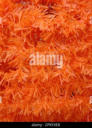 Image pouvant servir de texture Stock Photo