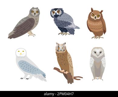 White, grey and brown owls cartoon illustration set Stock Vector