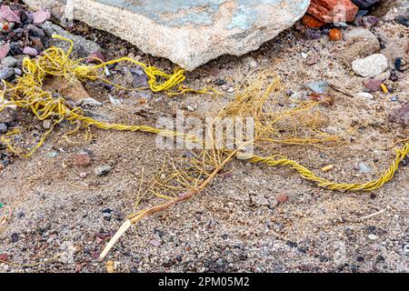 Old yellow rope and a small dry branch lying on sand at shore of stony coastal beach, rocks and stones in blurred background. Concept of environmental Stock Photo