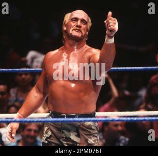 1990 Hulk Hogan                                                      Photo by  John  Barrett/PHOTOlink / MediaPunch Stock Photo