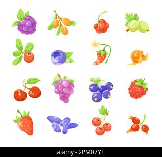 Different berries flat vector illustrations set Stock Vector