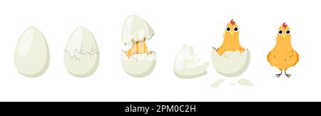 Cute chick hatching process set Stock Vector