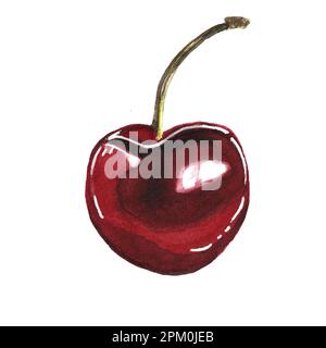 Watercolor painting of cherry isolated on white background. Hand drawn. Stock Photo