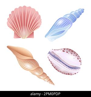 A set of vector illustrations of seashells of different shapes Stock Vector