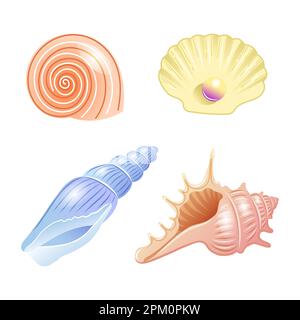 Set of vector illustrations of sea shells of different shapes and colors in cartoon style Stock Vector