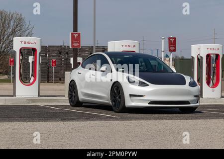 Lafayette - Circa April 2023: Tesla EV electric vehicle charging. Tesla products include electric cars, battery energy storage and solar panels. Stock Photo