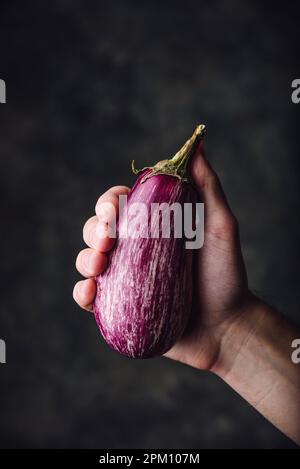 Fresh purple eggplant in hand on dark background Stock Photo
