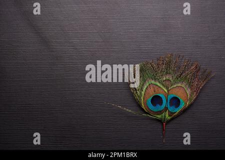 Top view of peacock feather on textured background Stock Photo