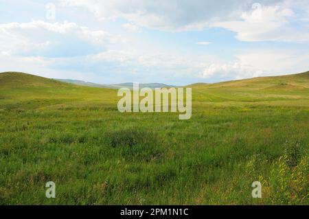 Endless hilly steppe with tall grass at the foot of a mountain range under a bright and cloudy summer sky. Khakassia, Siberia, Russia. Stock Photo