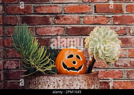 Ceramic decorative Halloween pumpkin and succulents outside of the house Stock Photo
