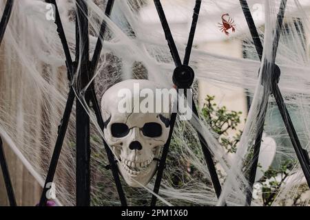 Scary Halloween decor on the fence, skull with spider net Stock Photo