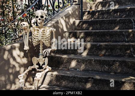 Skeleton sitting on the stairs, scary Halloween decor for house Stock Photo