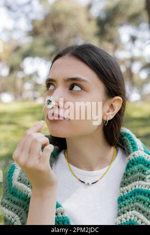 Young brunette woman smelling daisy and looking away in park,stock image Stock Photo