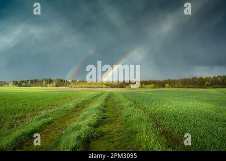 Double rainbow in the sky over green fields with a dirt road, Czulczyce, eastern Poland Stock Photo