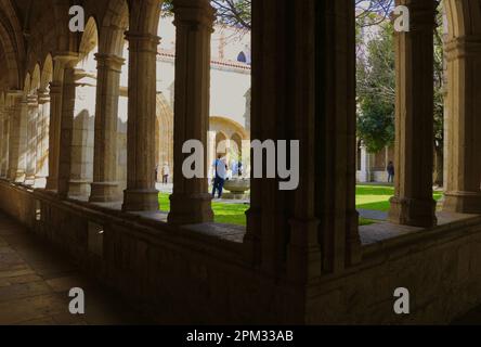 Cloisters of the Cathedral Basilica of the Assumption of the Virgin Mary of Santander Cantabria Spain Stock Photo