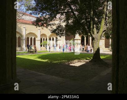 Cloisters of the Cathedral Basilica of the Assumption of the Virgin Mary of Santander Cantabria Spain Stock Photo