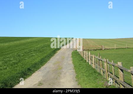 Farm track and fields on the Kent North Downs above New Barn, Lyminge, Folkestone, Kent, England, United Kingdom Stock Photo