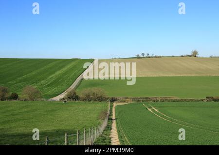 footpath and farm track and fields on the Kent North Downs above New Barn, Lyminge, Folkestone, Kent, England, United Kingdom Stock Photo