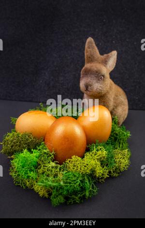 Easter bunny guarding three golden eggs in a moss nest, isolated on black background Stock Photo