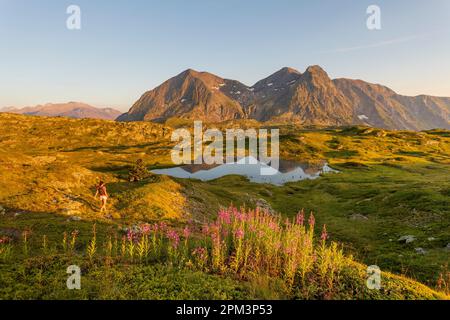 France, Isere (38), Matheysine, hiking at the lake Pin, in the Taillefer massif, Taillefer summit (2857 m) Stock Photo
