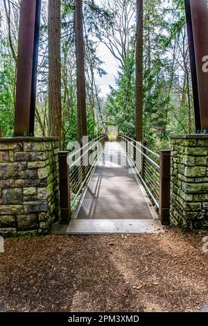 A view os a walking suspension brdige at  Bellevue Botanical Garden in Washington State. Stock Photo