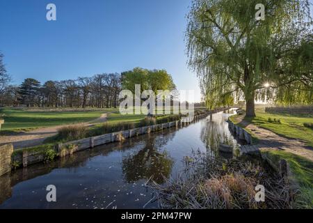 April morning sun at Bushy Park ponds in Surrey UK Stock Photo