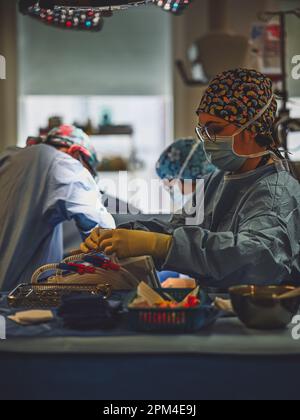 Two medical professionals wearing blue lab coats stand in a brightly lit hospital room, looking intently at a medical device Stock Photo