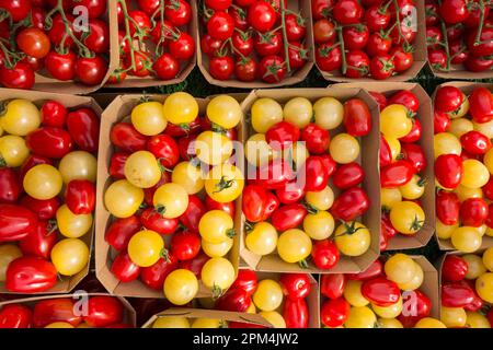 Fresh cheery tomatoes on the vine Stock Photo
