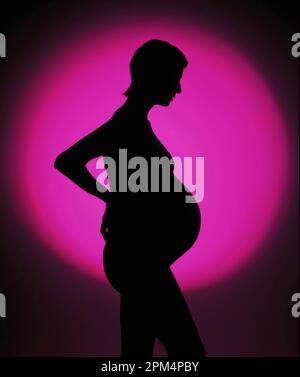 Silhouette of pregnant woman. Stock Photo