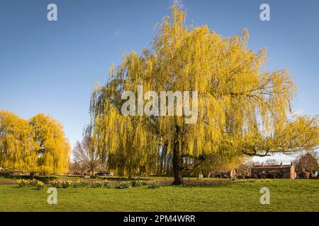 A sunny Spring HDR image of the village green and pond in the picturesque village of Nun Monkton in North Yorkshire, England. 02 April 2023 Stock Photo