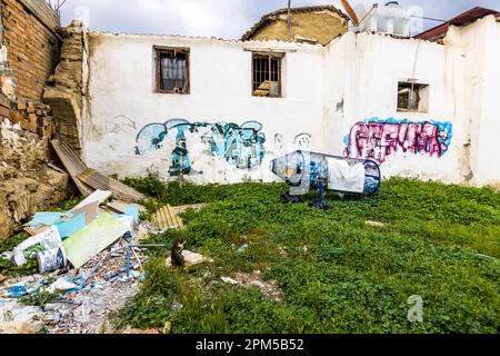 A cat sits among rubble and graffiti-covered walls in front of a PET bottle collection cage on a derelict lot in Lefkoşa (Nicosia), Turkish Republic of Northern Cyprus (TRNC). Stock Photo