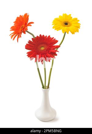 Bouquet of flowers gerberas isolated on white background Stock Photo