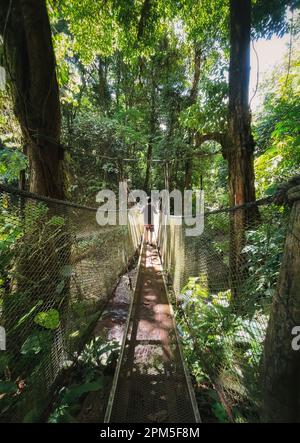 Boy crossing hanging suspension bridge in the jungle of Costa Rica. Stock Photo