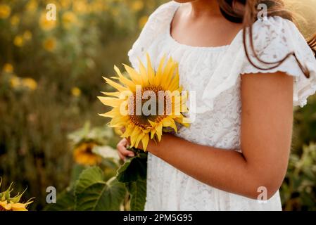 Young girl holding a sunflower close to her body Stock Photo