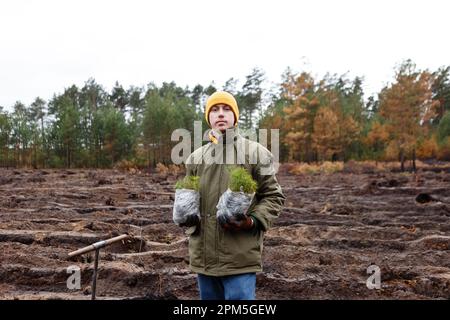 man holds packages of seedlings before planting forest in spring Stock Photo