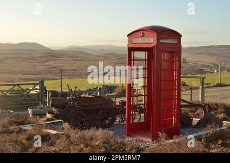 A redundant red telephone box being used as a garden ornament in a remote garden at Knockarthur in the Scottish Highlands Stock Photo