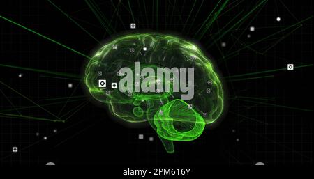 Composition of network of connections and data processing over digital brain on black background Stock Photo