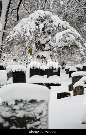 Tree and tombstones in a old cemetery snow covered following storm Stock Photo
