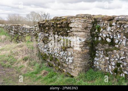 Ruined Roman town wall built of flint and stone with lime mortar at Silchester, Hampshire, UK Stock Photo