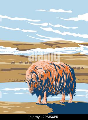 WPA poster art of Musk Ox at Aulavik National Park on Banks Island along the Thomsen River in the Northwest Territories of Canada done in works projec Stock Photo