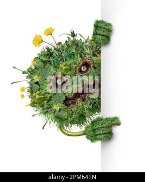Lawn pest character and weed monster as dandelion with clover crab grass weeds problem as a symbol for herbicide use in the garden or gardening Stock Photo