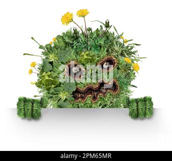 Lawn Weed monster and as dandelion with clover crab grass pest weeds problem as unwanted plants as a symbol for herbicide use in the garden Stock Photo