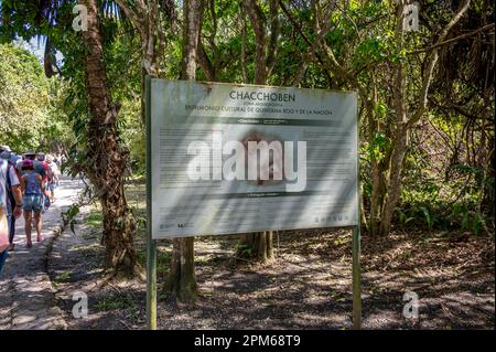 Costa Maya, Mexico - March 29, 2023: Signage at the ancient mayan ruins of Chacchoben in the jungle near the cruise terminal at Costa Maya. Stock Photo